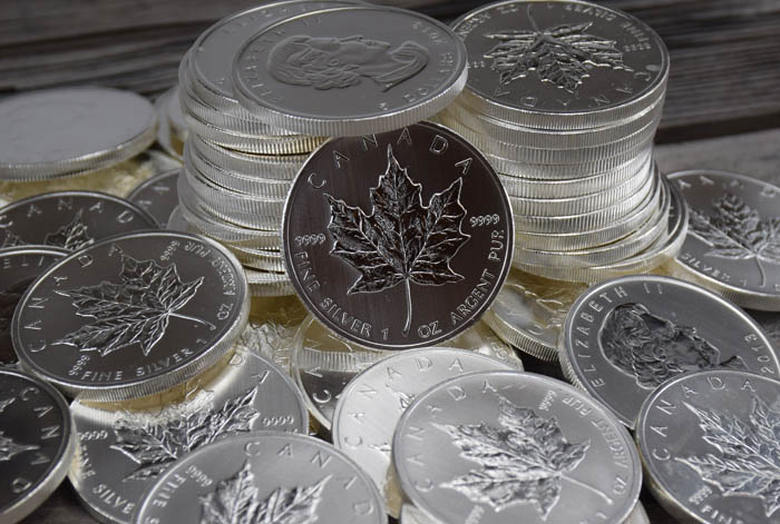 50 ounces of Silver Maple Leaf's