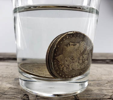 Silver dollar coin placed in water may kill bacteria